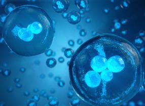 تجميد الأجنة