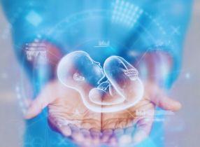 التوازن الأسري - جنس المولود